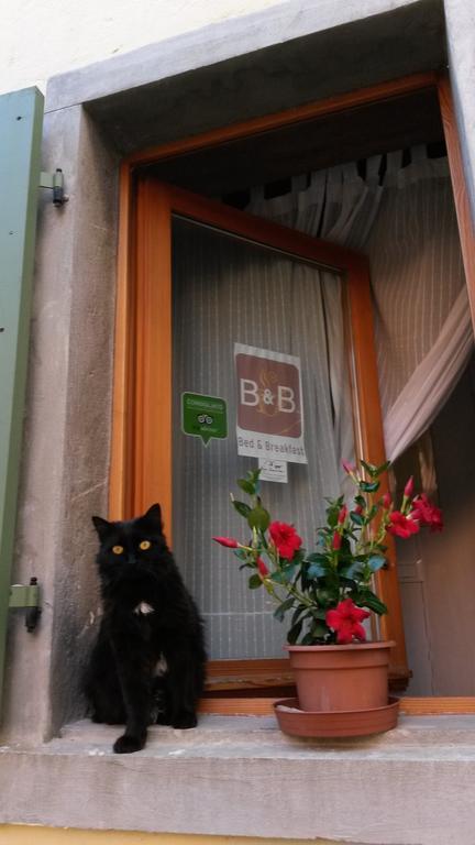 B&B Borgo Massovrana Castel di Casio Kültér fotó